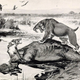 Illustration for article titled Top 10 Prehistoric Mammals That Were Way Cooler Than Dinosaurs